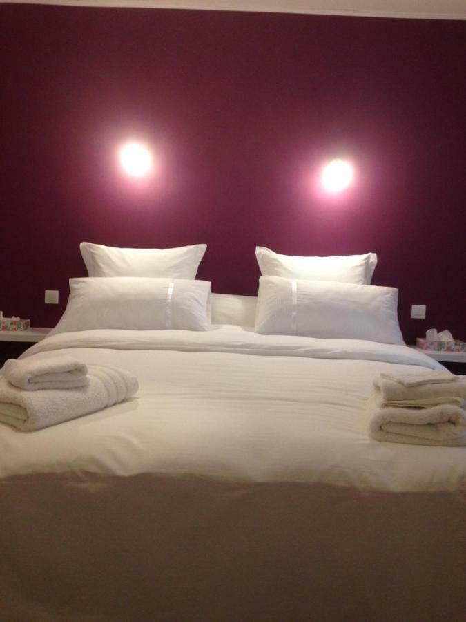 Hotel Bienvenue Chez Zina Vesoul Zewnętrze zdjęcie